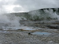 Yellowstone Norris Geyser (60).JPG